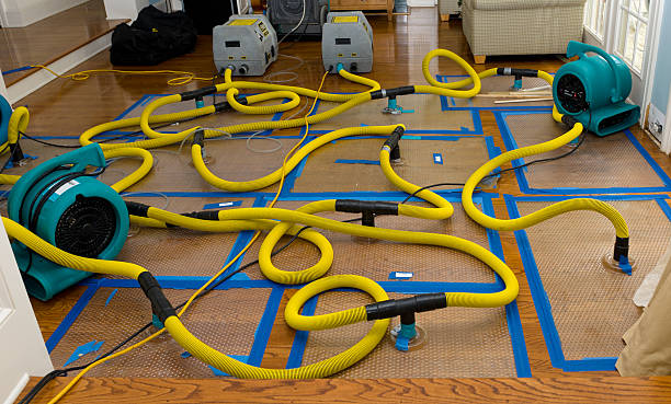 Professional Basement Flood Cleanup technician working in Kiel, WI